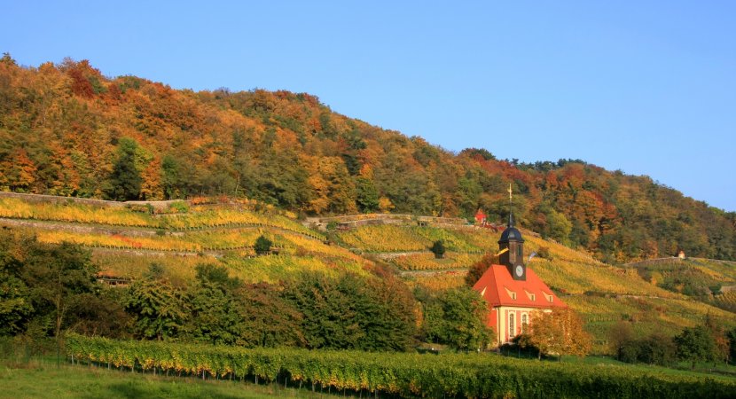Weinberg Kirche im Herbst Schlosshotel Pillnitz Slider Bild groß