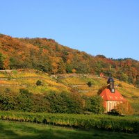 Weinberg Kirche im Herbst Schlosshotel Pillnitz klein